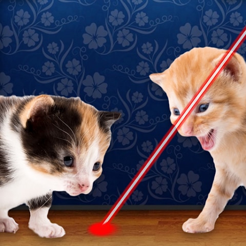 Laser for Cats